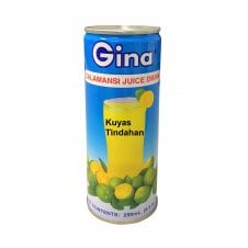 Gina Calamansi Juice Drink 250ml